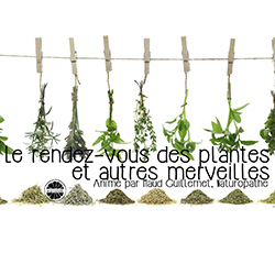 le-rendez-vous-des-plantes-maud-guillemet