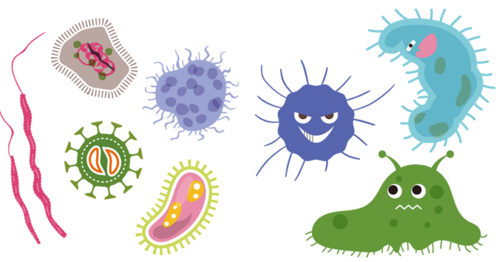 Dessin représentant des bactéries et des virus du microbiote intestinal.  Il illustre un article  de conseils pour une bonne digestion, écrit par Maud Guillemet Naturopathe à Besançon.