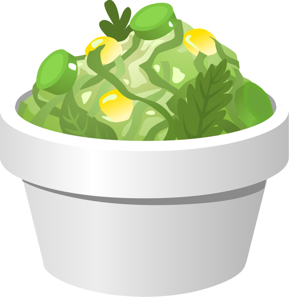 Dessin représentant une salade de crudité dans une céramique blanche. Il illustre un article  de conseils pour une bonne digestion, écrit par Maud Guillemet Naturopathe à Besançon.