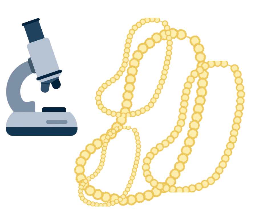 Dessin d'un microscope et de plusieurs colliers de perles emmêlés pour expliquer la structure d'un protéine de gluten. Il illustre un article sur l’alimentation sans gluten, rédigé par Maud Guillemet, naturopathe à Besançon.