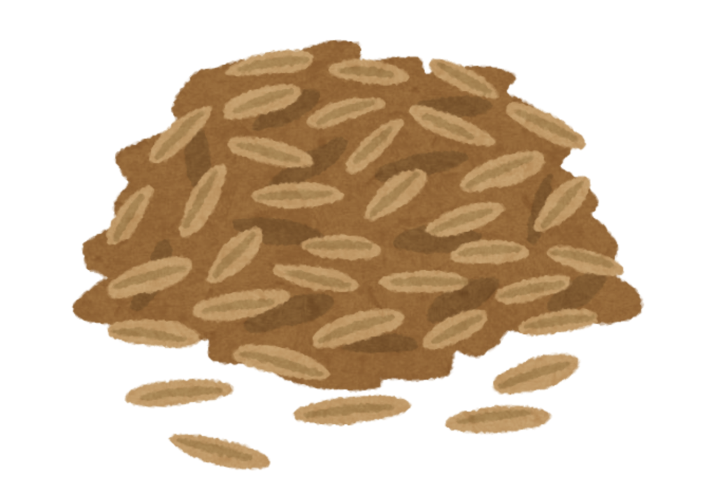 Dessin d'un monticule de grains de céréales complètes, pour illustrer un article sur les lectines, écrit par Maud Guillemet, naturopathe à Besançon.