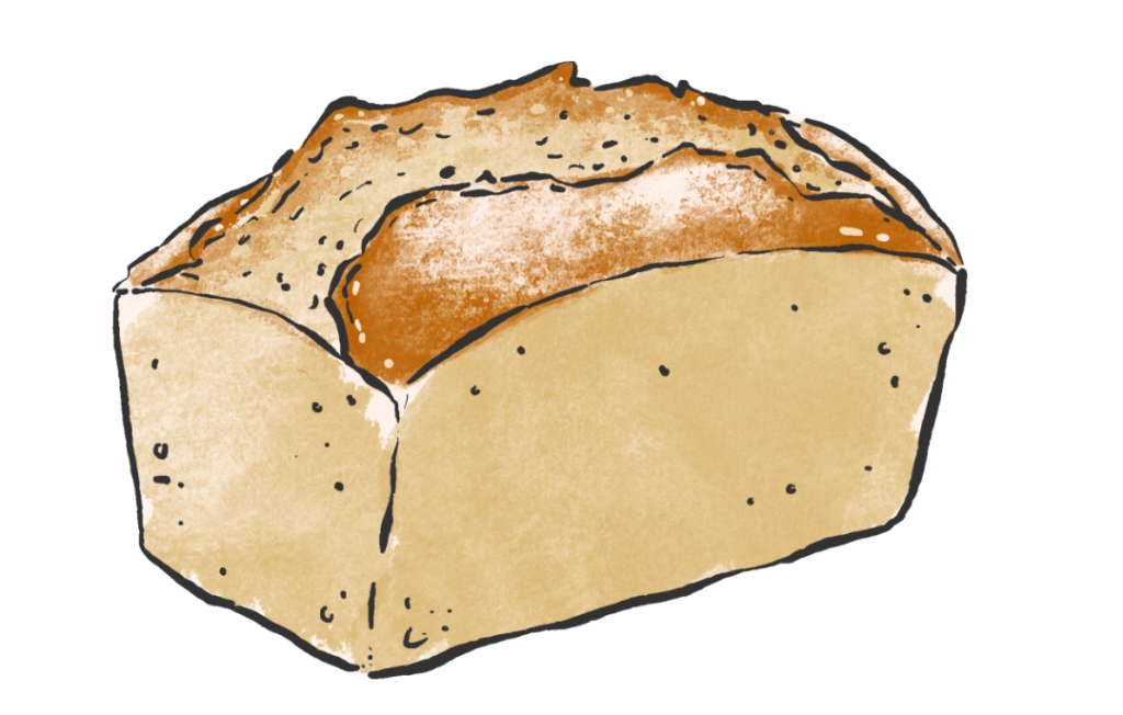 Dessin d'un pain petit épeautre au levain, pour illustrer les alternatives moins concentrées en lectines, dans un article écrit par Maud Guillemet, naturopathe à Besançon.